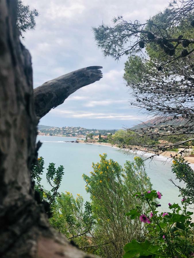 Ferienwohnung „La Cigalerie“ Saint-Raphaël Εξωτερικό φωτογραφία